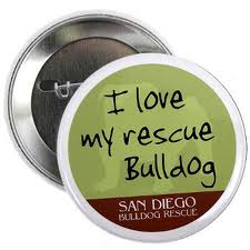 san-diego-bulldog-rescue